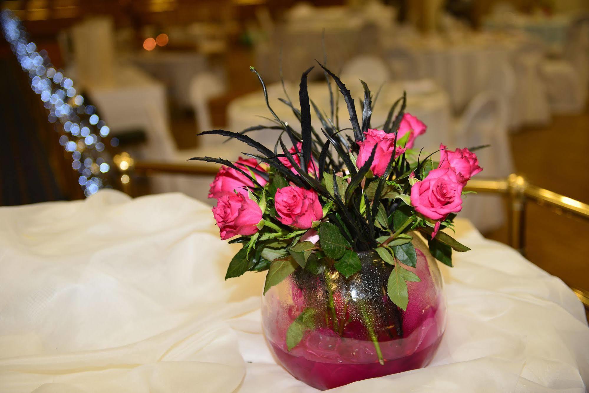 אומה Silverbirch Hotel מראה חיצוני תמונה